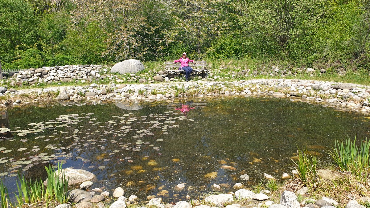 20260426_135227.jpg