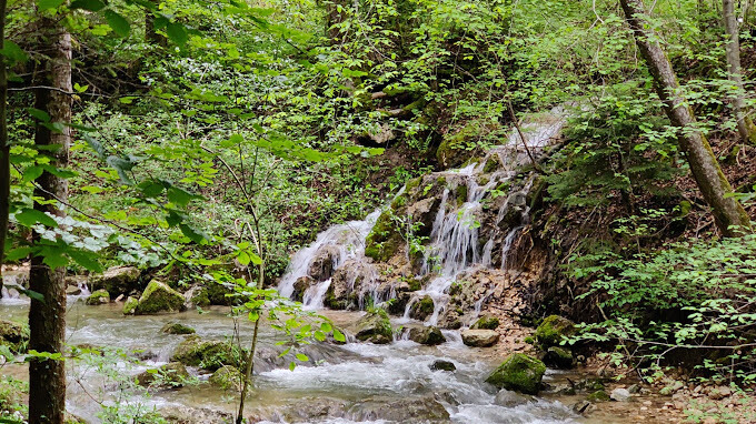Naturpark Thal Wasser Glück-on-Tour.jpg