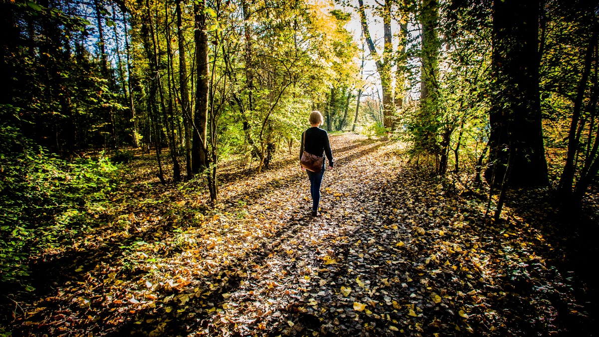 Glück on Tour Waldweg.jpg