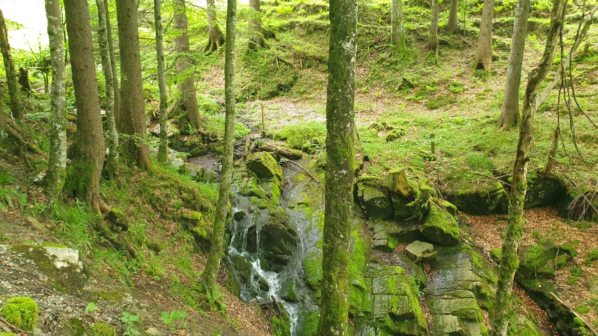 Berggasthaus Plattenbödeli Weg nach Brülisau.jpg