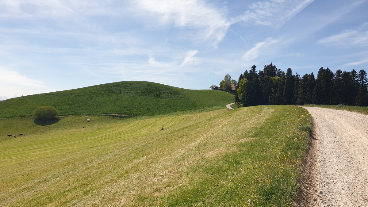 20260426_140058.jpg