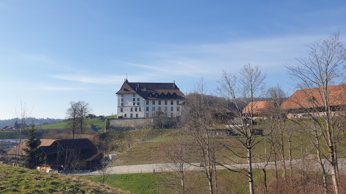 20260319_154150.jpg
