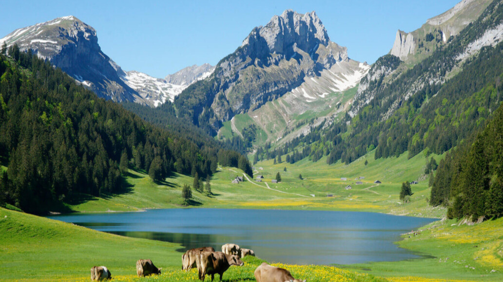 Berggasthaus Plattenbödeli Sämtisersee c.jpg