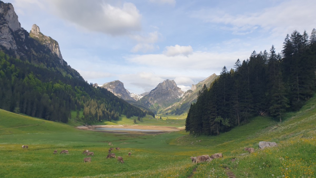 Berggasthaus Plattenbödeli Sämtisersee.jpg